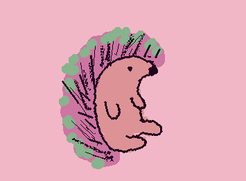 Stawby hedgehog 🥹