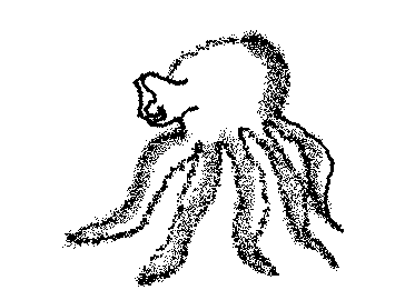 Dumbo Octopus 🐙 requested by Eli-Draws