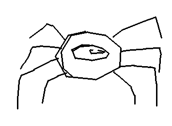 spider