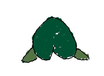 じゃっぴのももからかいていきます。