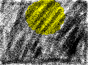 闇