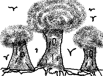 Trees, these trees been here for a long time