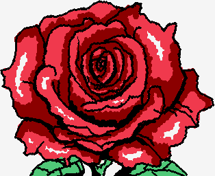 una rosa