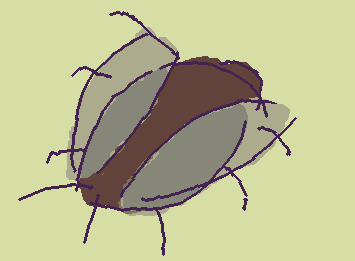 bug
