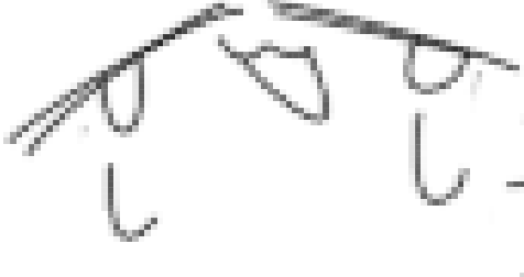 構って構って症候群になりそうなんですね