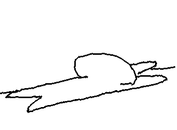 また転んじゃった😭😭