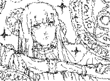 fern from sousou no frieren