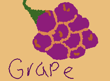 GRAPE🍇