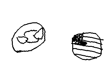 PB
米日
日:白狐 米:りゆう