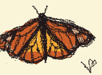 Monarch butterfly