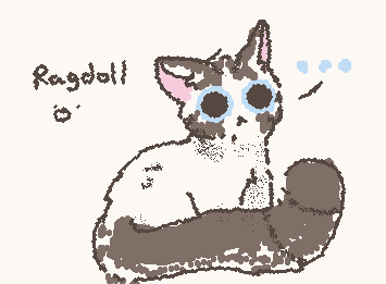 sry I haven't posted in a while I was busy with school work, and SOL's are coming up!! this is day 9 of doodling every cat breed! ps omg I have 47 followers??!