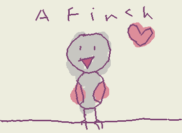 A finch