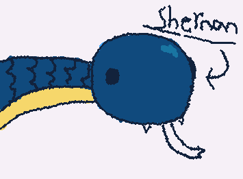 This is Shernan the bluer shnake