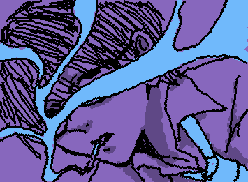 smoke