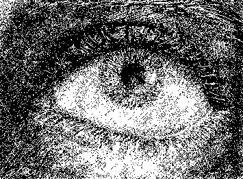 dont look back