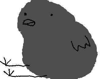Pointcrow Doodle