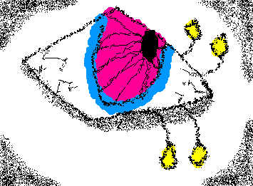An Eye