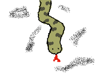 a snake for @S3bastian !