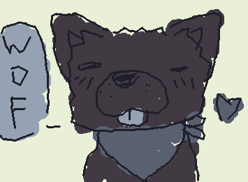 Black chow chow ´꓃ `