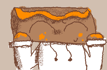 Cosmo ate some orange cookies :P