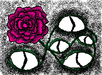 Rose And Eyes