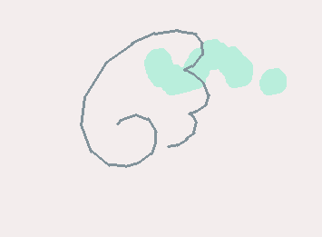 はね🪽🪽🪽🪽🪽🪽🪽🪽🪽🪽