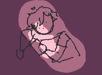 do yall ever like forget who u r