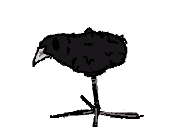 brid.
