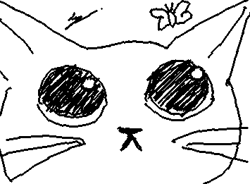 Cat 🥹