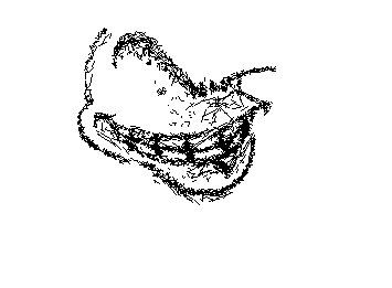 I’m just drawing anything atp