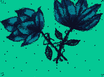 Night-blooming jasmine 🌸