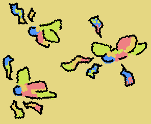 rainbow lorikeets <3