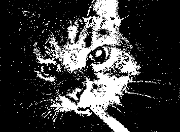 Cats don’t smoke.