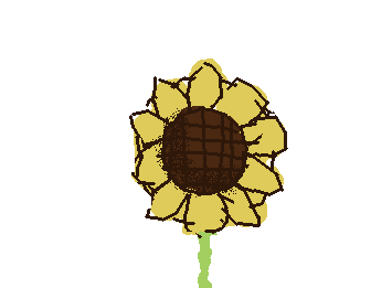 sunflower:3