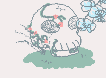 A skull in my garden . . .