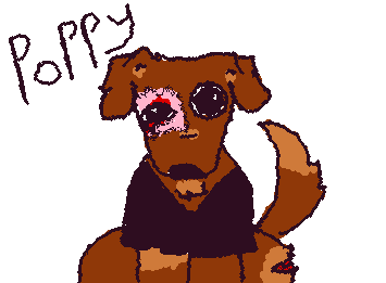 Meet Poppy @SUNNY designed them, she is a new friend of Rudys, a old padgent dog abandoned after a fire
