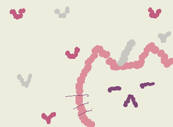 くだものねこです！