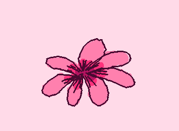 ムラサキカタバミっていうらしい🪷
花が押しで詳しい人に聞いたら教えてくれた😊
