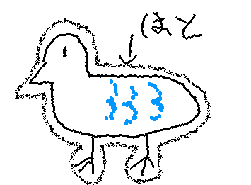 🕊️