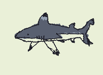 poorly drawn black tip reef shark(idk what happend to one of the fins)