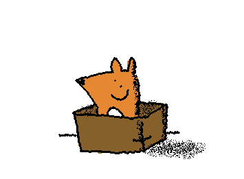 psychology class brings wonders such as a fox in a box