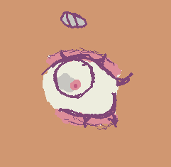 eye