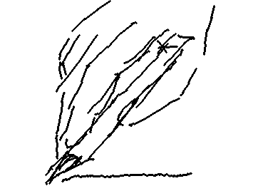 わぁ〜、アナログでお絵描き楽し〜い