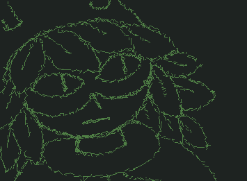 Huntress wizard headshot