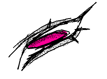 ちょいお久しぶり