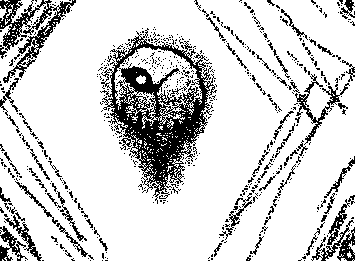 Litany from Grace, Ima tire