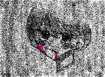 Sorry,I can't go back