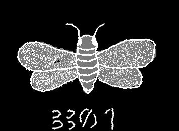 Bug