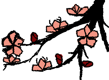 Sakura ᵔ ᵕ ᵔ ❀