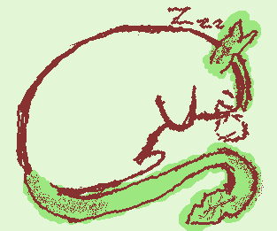 this freaking chud…sleeping on the job… anyways canon for my oc: can transform into…whatever this creature is (what should I call it…?) andddd ya. ewww eww